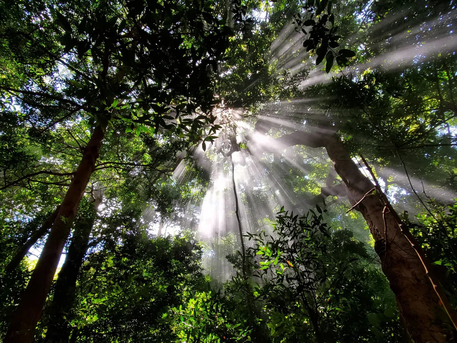 A moment from a Nourishing U retreat