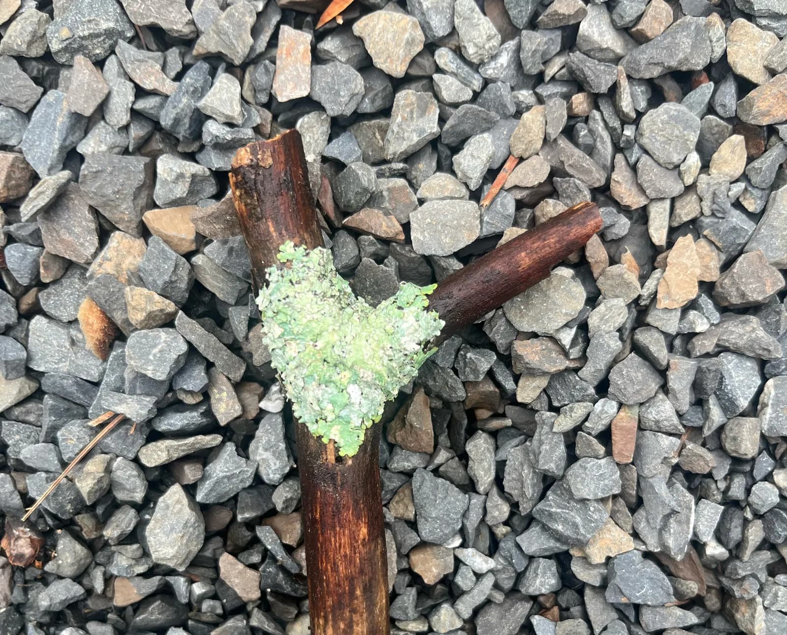 A moment from a Nourishing U retreat